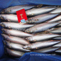Seafrozen Whole Pacific Mackerel Wr Fish 300-400G
